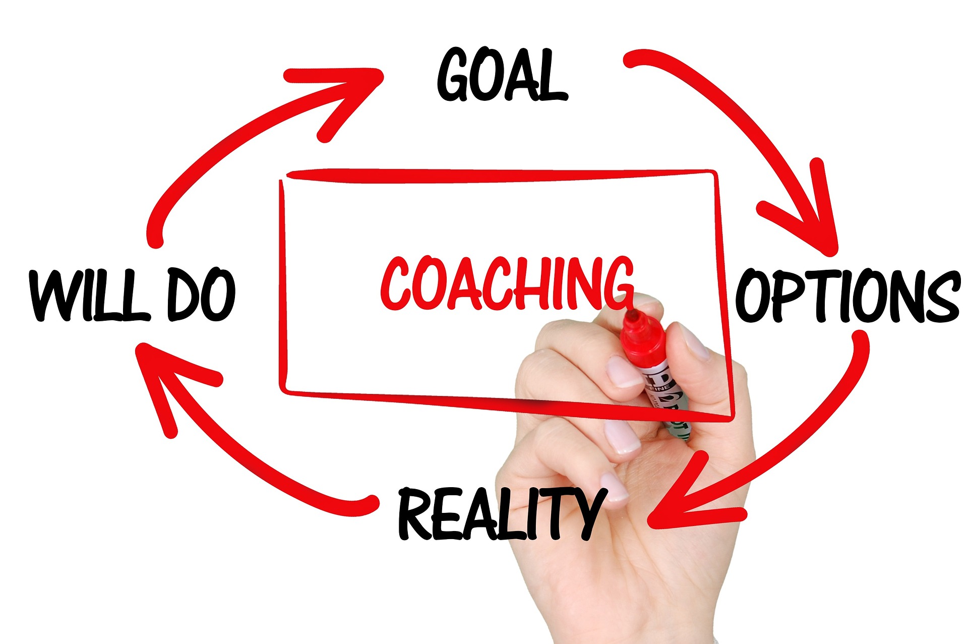 Définition du Coaching SEO et autonomie